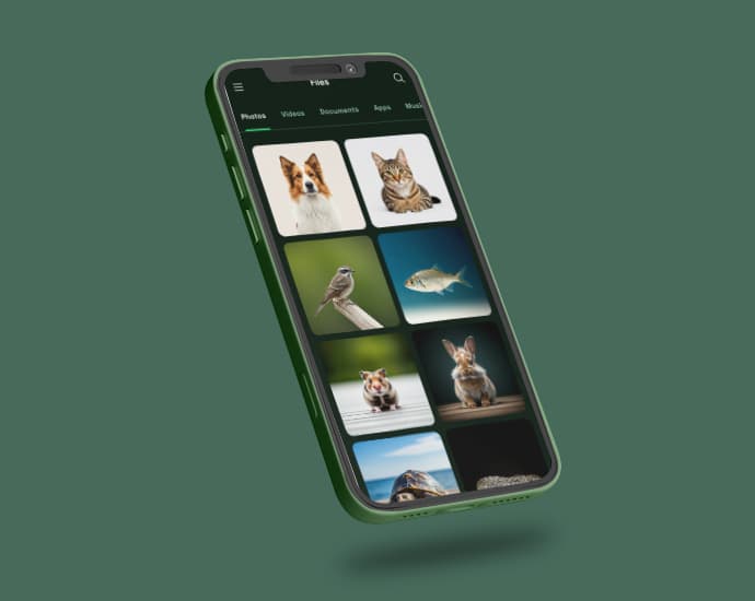 MoveIt File Sharing App placeholder preview